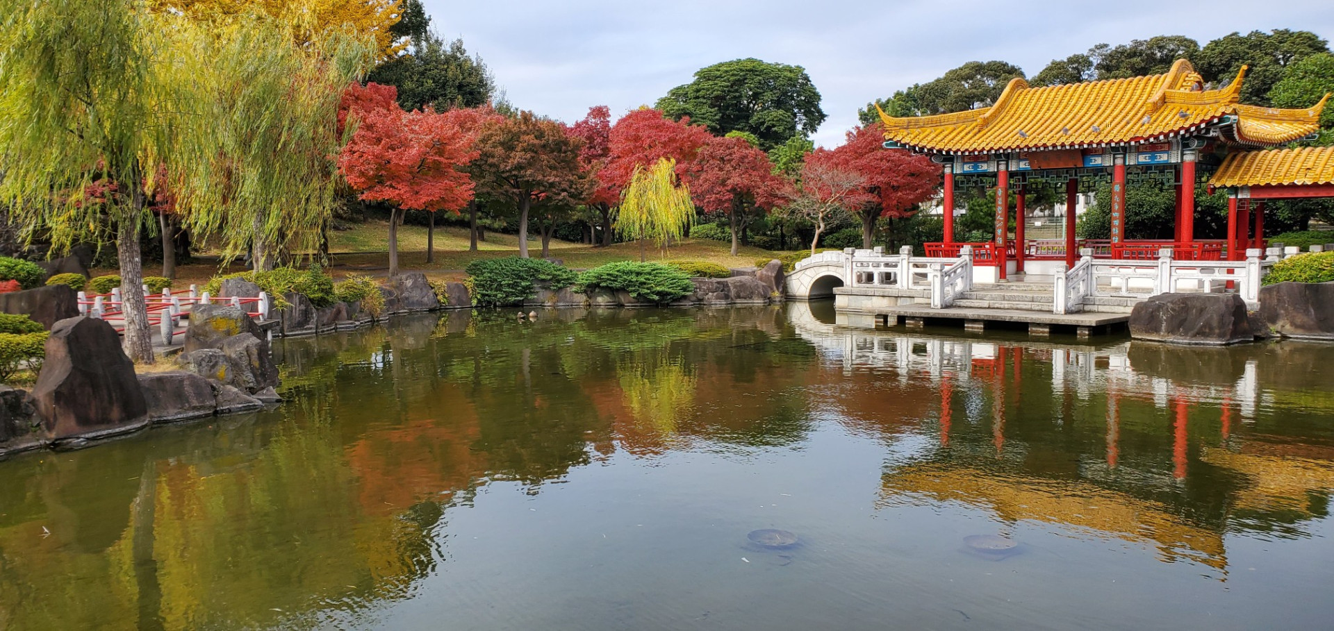 瀋秀園の花【花のコラム】